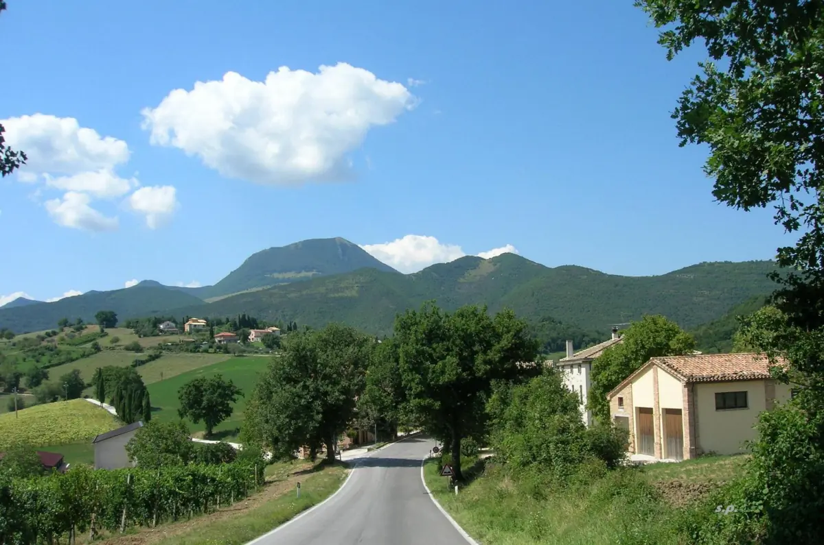 Una strada di campagna a Casalini di Apiro